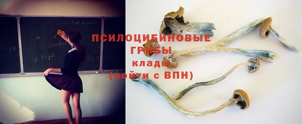 дмт Алексеевка