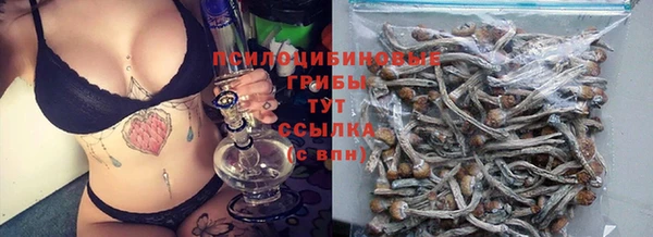 СК Абдулино